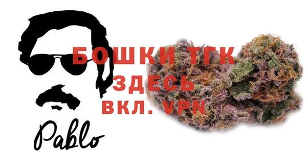 прущие грибы Абаза