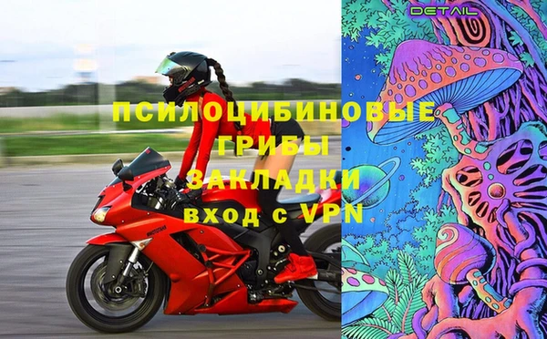прущие грибы Абаза