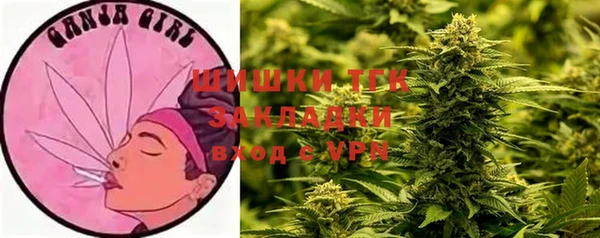 прущие грибы Абаза