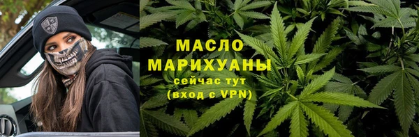 прущие грибы Абаза