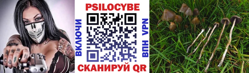 купить наркотик  Цоци-Юрт  Псилоцибиновые грибы Magic Shrooms 